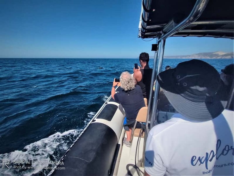 Sesimbra: Dolphin and Whales Watching with Biologist Guide - Finding dolphins in open water