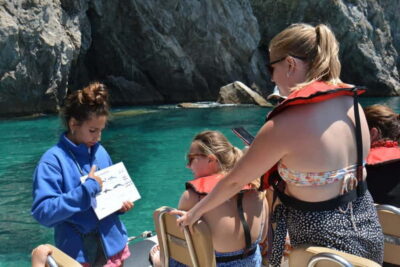 Dolphin and Whales Watching with Biologist Guide