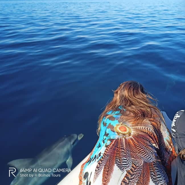 Sesimbra: Dolphin and Whales Watching with Biologist Guide - What the biologist adds