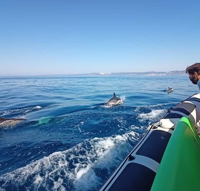 Sesimbra: Dolphin and Whales Watching with Biologist Guide - The coastal sightseeing section