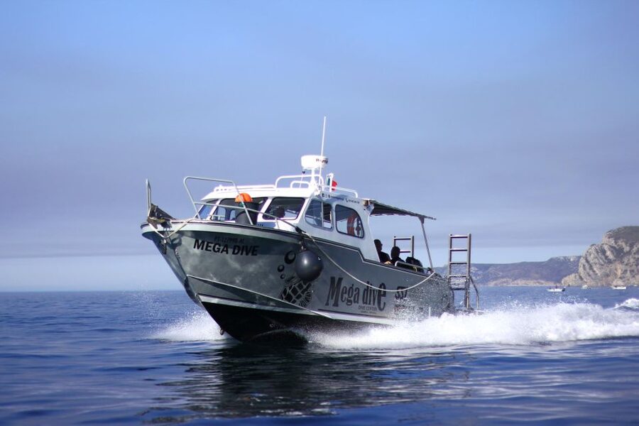 Sesimbra: Dolphin Watching with a marine biologist - Baleeira Beach and the coastal view