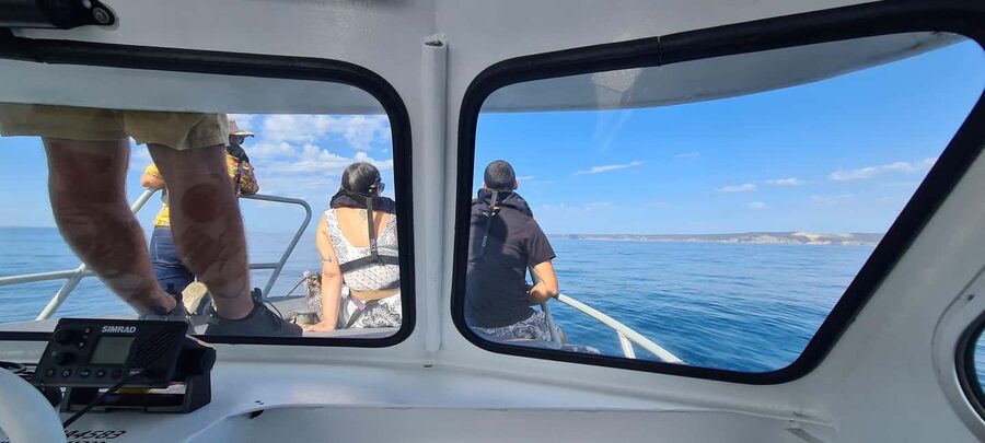 Sesimbra: Dolphin Watching with a marine biologist - Who will enjoy this boat trip most