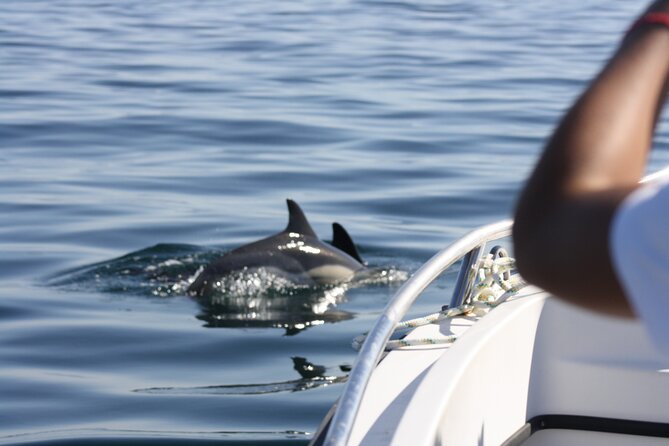 Sesimbra Observation of Dolphins with Biologist in Marine Park - Who should book this trip