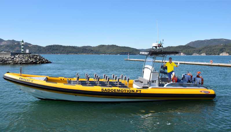 Setúbal and Tróia: Dolphin Watching and Arrábida Bays - Quick facts about this Arrábida boat trip