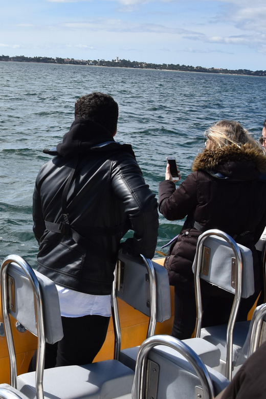 Setúbal and Tróia: Dolphin Watching and Arrábida Bays - Galapos, Galapinhos, and Portinho da Arrábida
