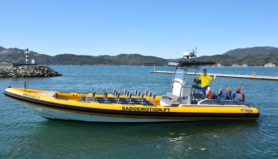 Setúbal and Tróia: Dolphin Watching and Arrábida Bays - Boat size, music, and comfort