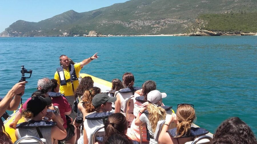 Setúbal and Tróia: Dolphin Watching and Arrábida Bays - Is $53 a fair price for two hours?