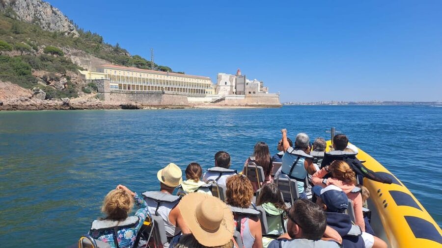 Setúbal and Tróia: Dolphin Watching and Arrábida Bays - Setúbal or Tróia: choosing your port