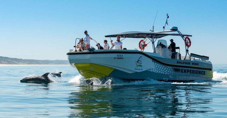 Setúbal: Dolphin Watching Boat Tour - Should you book the Setúbal dolphin tour?