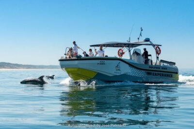 Dolphin Watching Boat Tour
