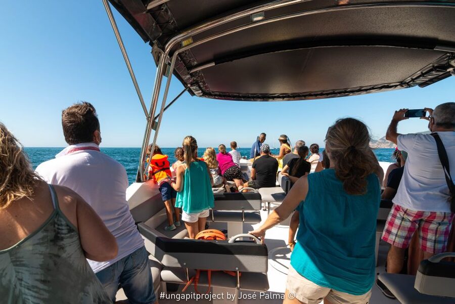 Setúbal: Dolphin Watching Boat Tour - Who will enjoy this most?