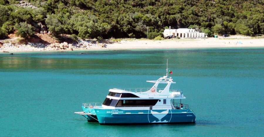 Setúbal: Dolphin Watching Tour - Leaving Setúbal from the fishing harbour