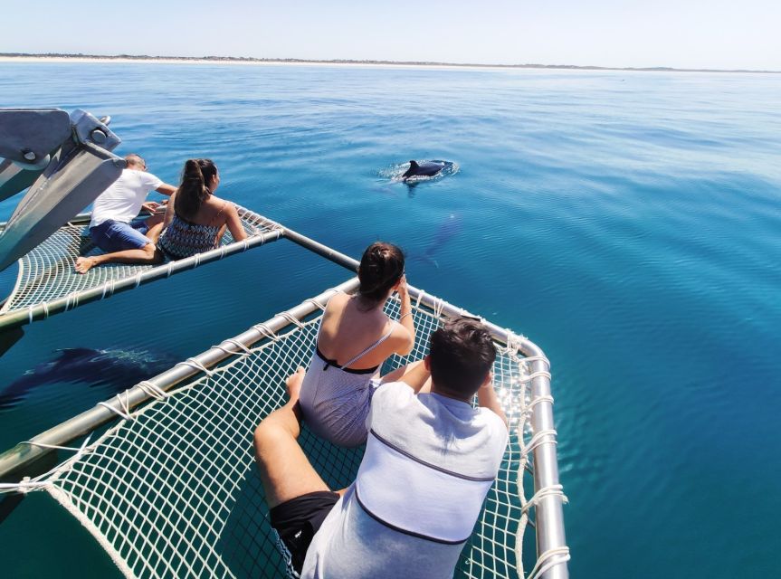 Setúbal: Dolphin Watching Tour - Who should book this Setúbal cruise?