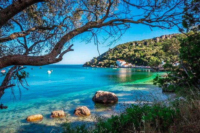 Setúbal Private Tour - Including Dolphin Watching - Three hours with dolphins in the Sado Estuary
