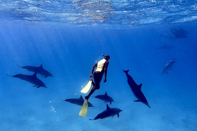 Sha'ab Samadai Reef - Dolphin House Snorkeling Tour at Marsa Alam - Arriving at Dolphin House by boat