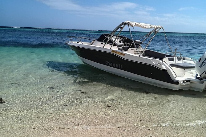 Shared 10 Pax Boat Tour: Dolphin Watching, Snorkelling and BBQ - The beach break after lunch