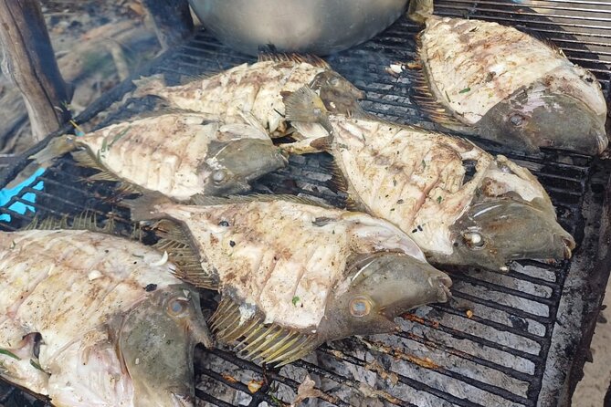Shared 10 Pax Boat Tour: Dolphin Watching, Snorkelling and BBQ - What the skipper adds to the day