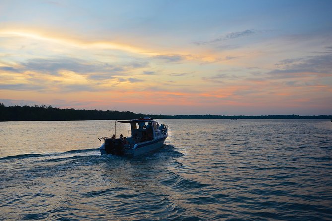 Shared Mangrove & Irrawaddy Dolphin Watching Cruise - What makes this river trip worth your morning