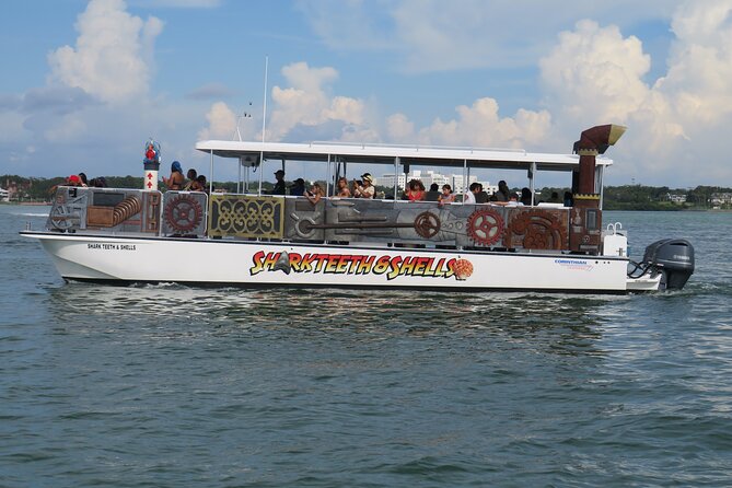 Shark Teeth and Shells, Dolphin and Shelling Tour Boat Clearwater Beach - Key points to know before you book