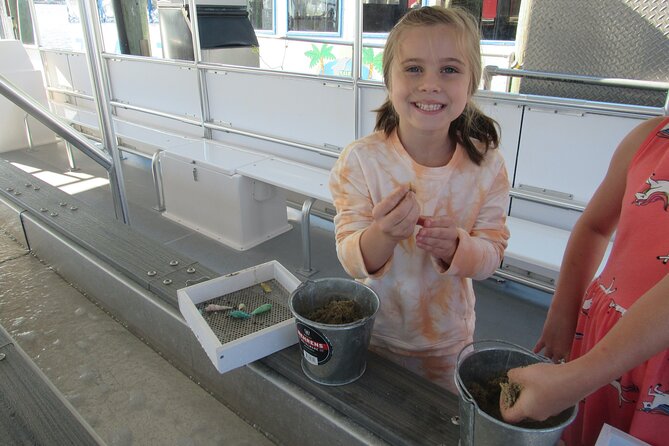 Shark Teeth and Shells, Dolphin and Shelling Tour Boat Clearwater Beach - Dolphin watching near Clearwater Beach
