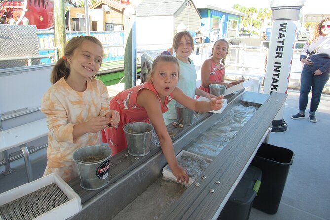 Shark Teeth and Shells, Dolphin and Shelling Tour Boat Clearwater Beach - The captain and crew shape the mood