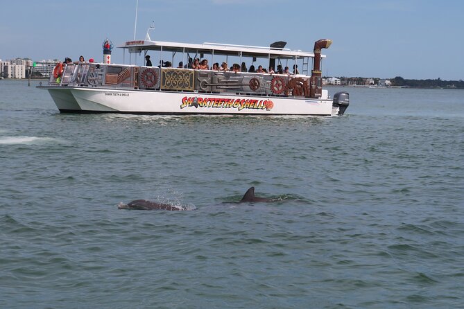 Shark Teeth and Shells, Dolphin and Shelling Tour Boat Clearwater Beach - Why the $28 price can work well