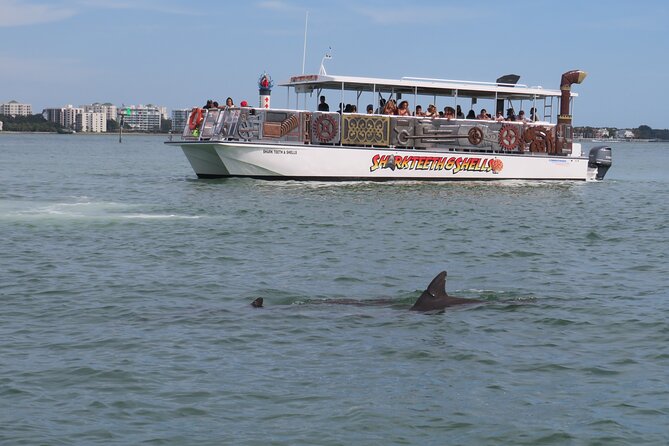 Shark Teeth and Shells, Dolphin and Shelling Tour Boat Clearwater Beach - Weather, comfort, and what to bring