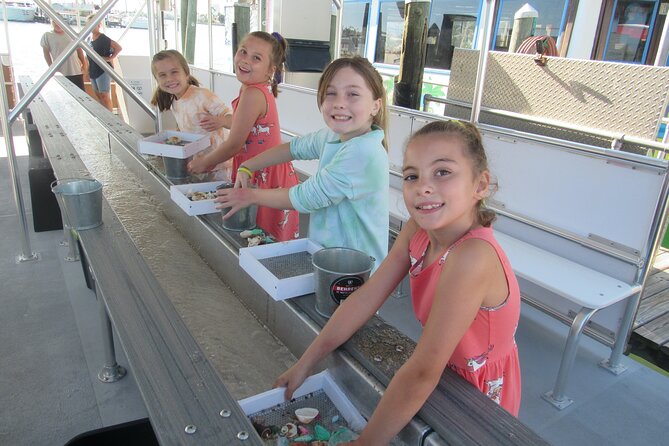 Shark Teeth and Shells, Dolphin and Shelling Tour Boat Clearwater Beach - Booking, cancellation, and group size