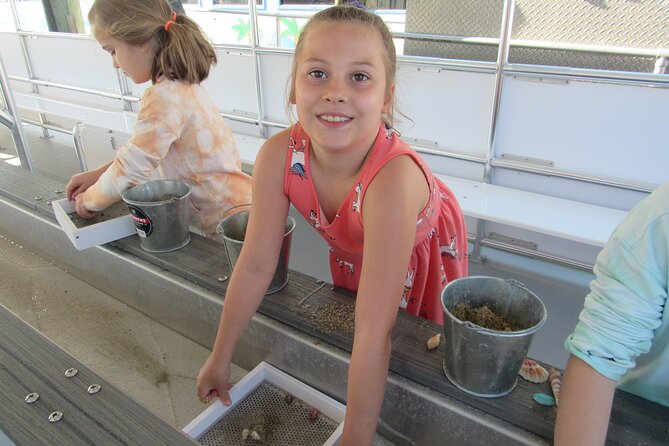 Shark Teeth and Shells, Dolphin and Shelling Tour Boat Clearwater Beach - What happens on the shelling boat