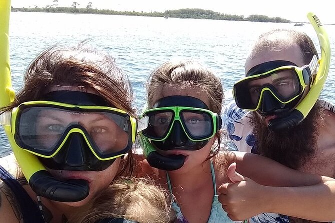 Shell Island Dolphin and Snorkel Boat Tour - What Snorkeling Is Really Like