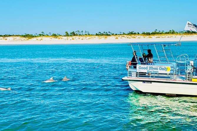 Shell Island Dolphin Sightseeing Boat Tour in Panama City Beach - Watching wild bottlenose dolphins