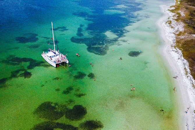 Shell Island Snorkel and Dolphin Catamaran Cruise with Island Time - Five things to know before you book