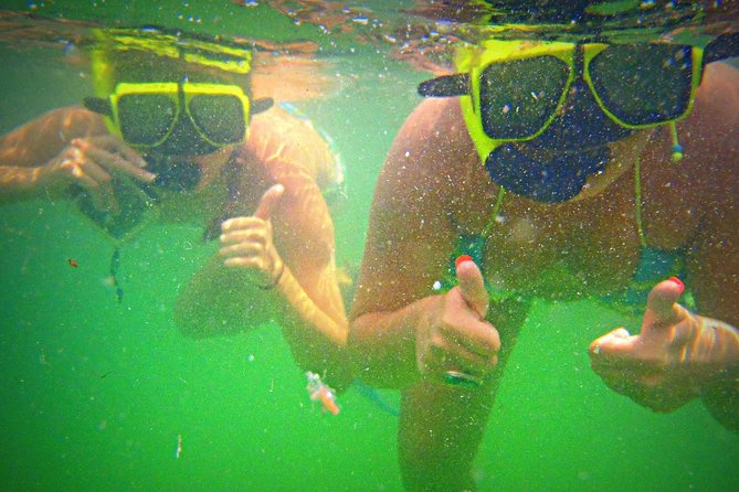 Shell Island Snorkel and Dolphin Catamaran Cruise with Island Time - The onboard atmosphere: music, drinks, and friendly help