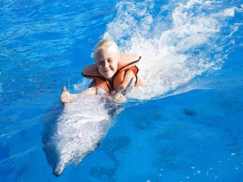 Side/Alanya: Swimming with Dolphins and Dolphin Show - What the 2.5-hour experience actually includes