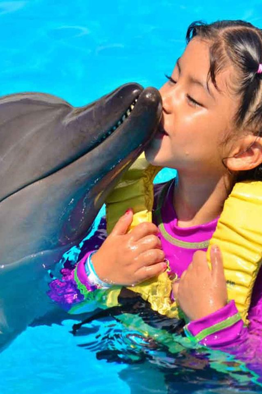 Side/Alanya: Swimming with Dolphins and Dolphin Show - Photos are the biggest extra cost