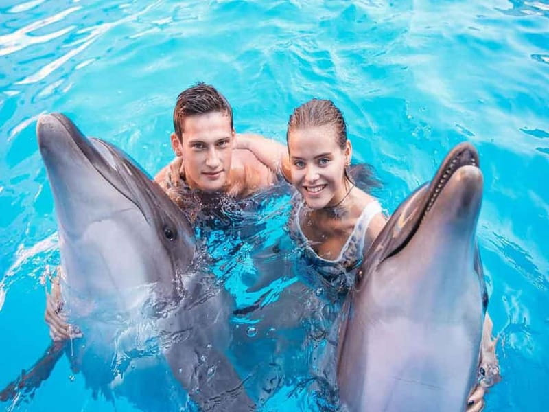 Side/Alanya: Swimming with Dolphins and Dolphin Show - Is the $260 price good value?