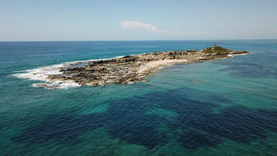 Side: Dolphin Island Boat Tour w/ Lunch & Foam Party - The five things to know before booking