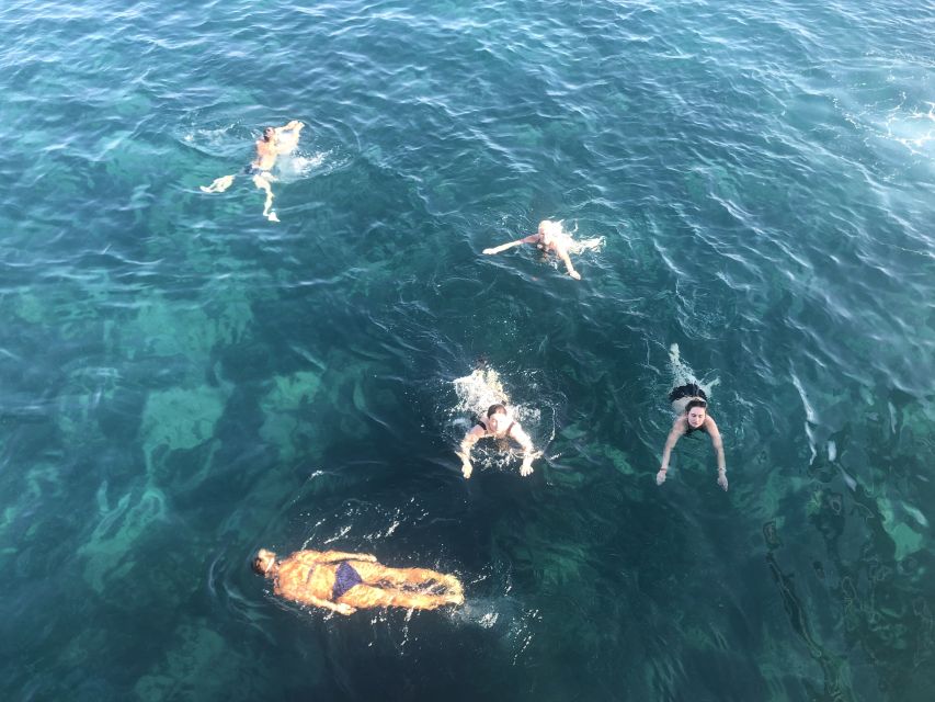 Side: Dolphin Island Boat Tour w/ Lunch & Foam Party - Dolphin Island and the wildlife question