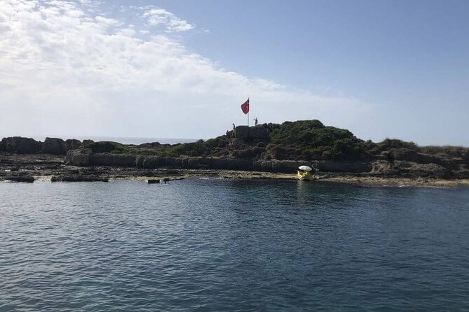 Side: Dolphin Island Boat Tour with Foam Party and Lunch - Key Points Before You Book
