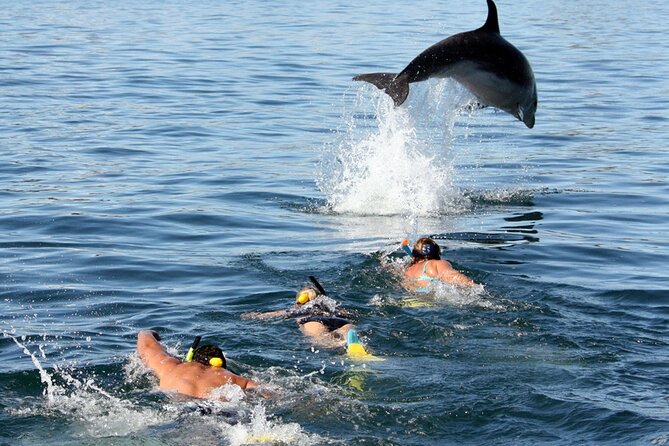 Side Dolphin Island Boat Trip With Lunch And Soft Drinks - Passing Side’s ancient harbor and Apollo’s Temple