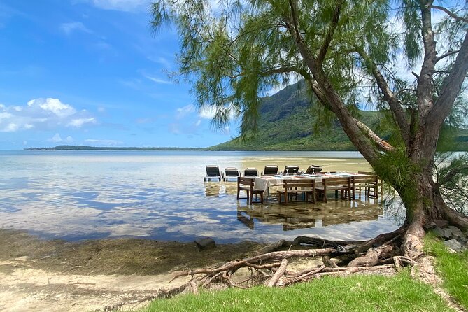 Signature Experience: Dolphins and Flavors of the Sea - Sea urchin fishing and tasting near the coast