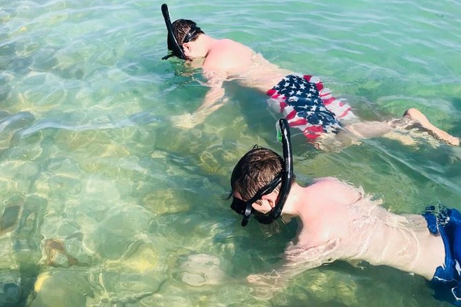Small Group 2 Hour Dolphin Cruise with Snorkeling to Shell Key - A Small Boat Makes the Difference