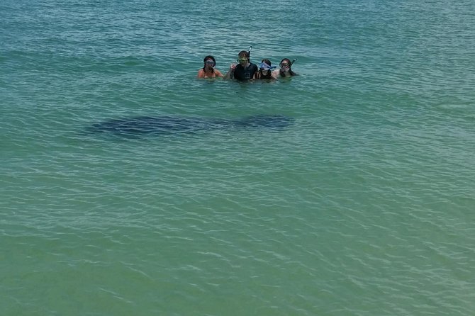 Small Group 2 Hour Dolphin Cruise with Snorkeling to Shell Key - Why Two Hours Can Feel Short