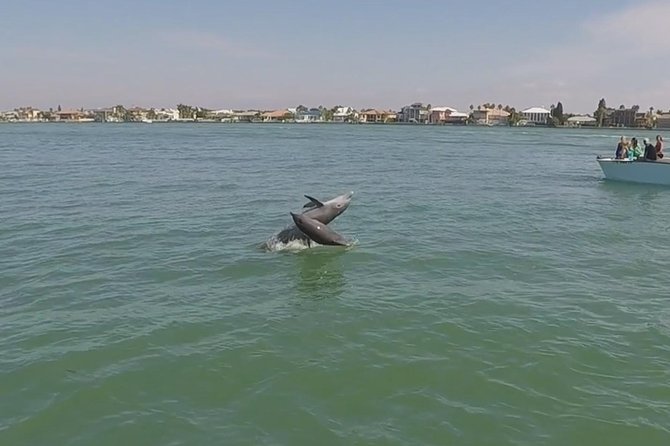 Small Group 2 Hour Dolphin Cruise with Snorkeling to Shell Key - What the $75 Price Really Covers