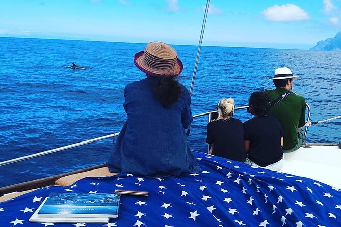 Small Group Boat Whale and Dolphin Watching Tour - Why a Small Group Changes the Experience