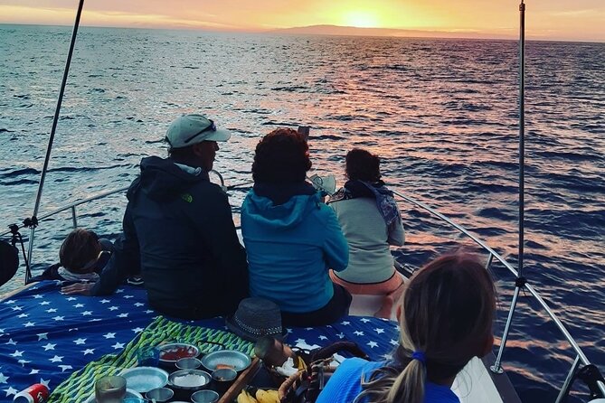 Small Group Boat Whale and Dolphin Watching Tour - Swimming and Snorkeling at Las Salinas Beach