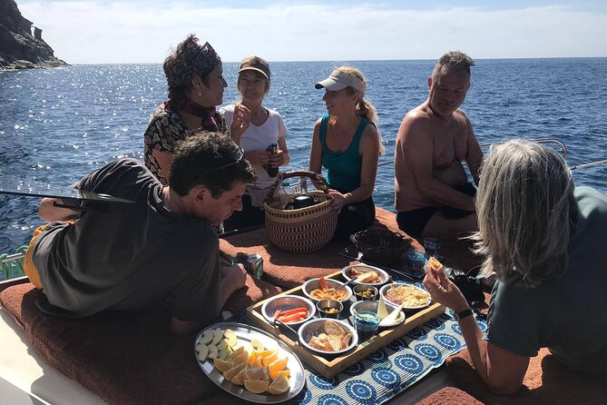 Small Group Boat Whale and Dolphin Watching Tour - Returning Along the Coast to Valle Gran Rey