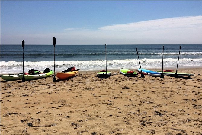 Small Group Dolphin Kayak Eco-Tour - What the two-hour kayak trip is really like