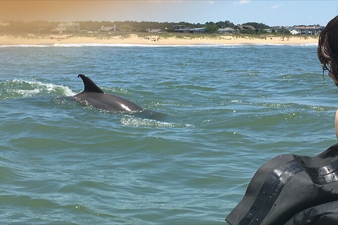 Small Group Dolphin Kayak Eco-Tour - Timing, weather, and practical value