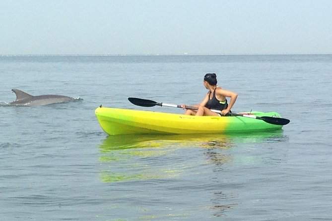 Small Group Dolphin Kayak Eco-Tour - Dolphin watching in their natural habitat